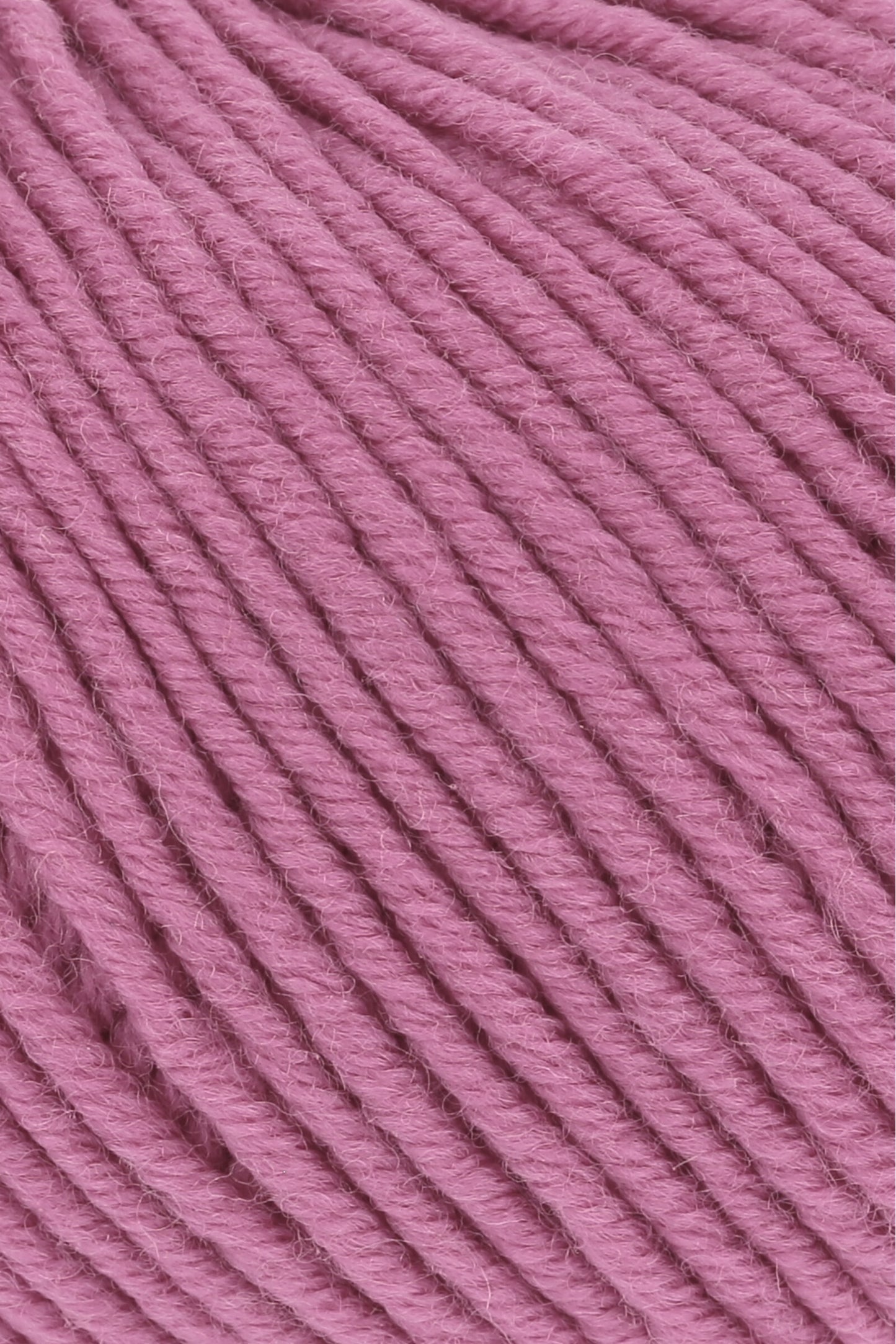 Merino 120
