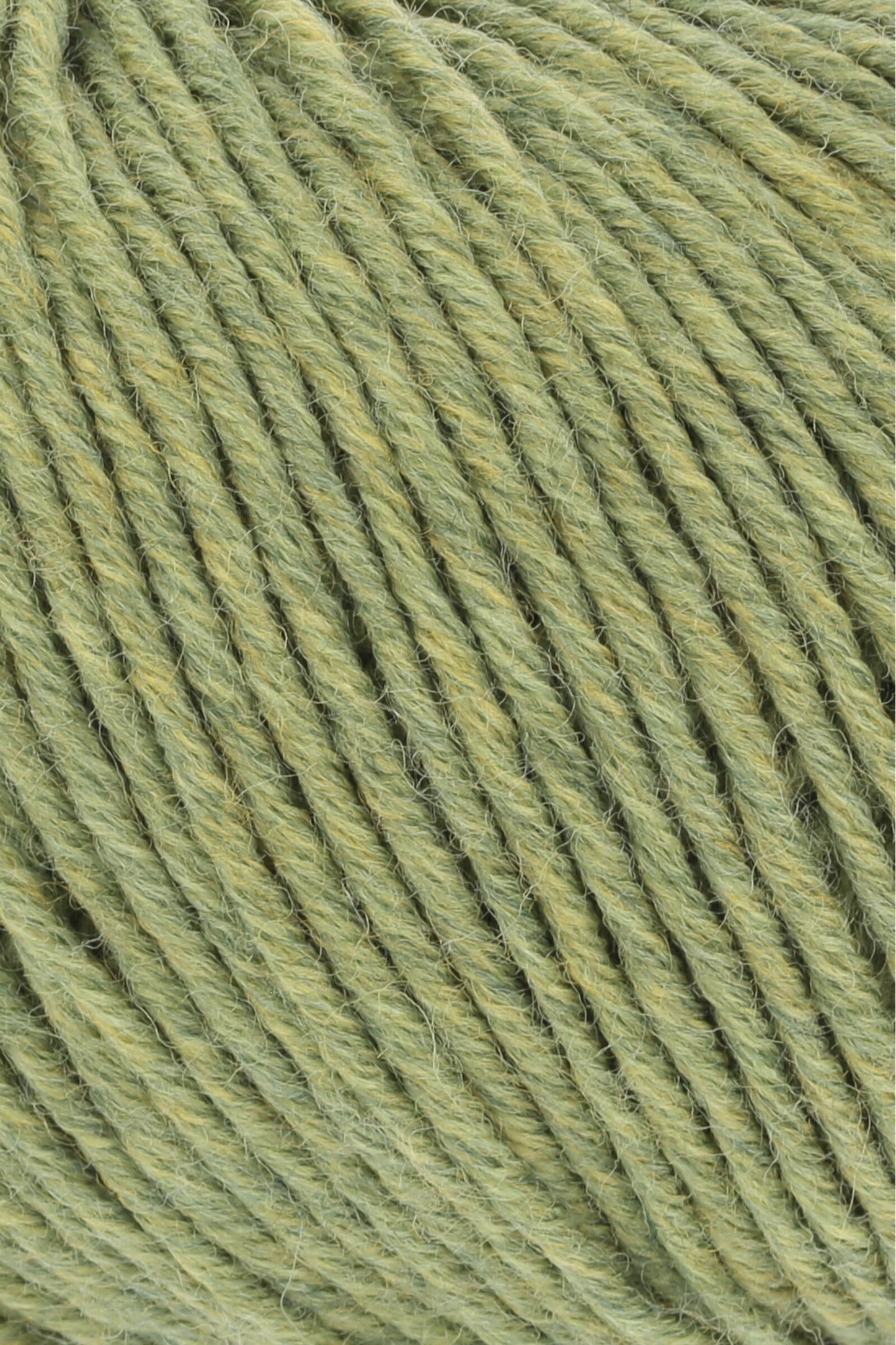 Merino 120