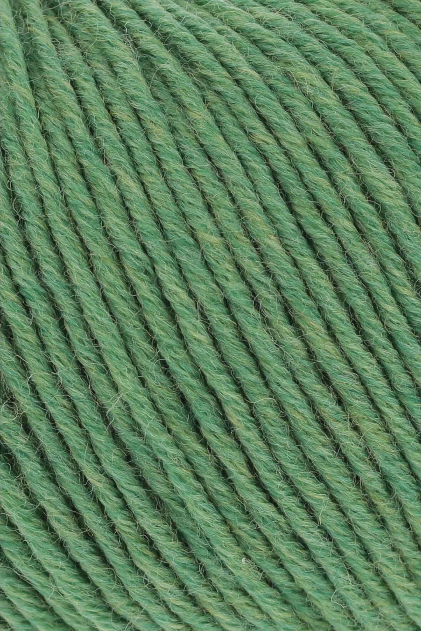 Merino 120