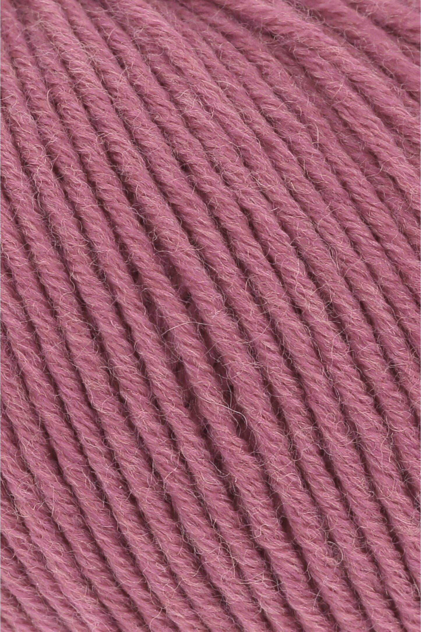 Merino 120