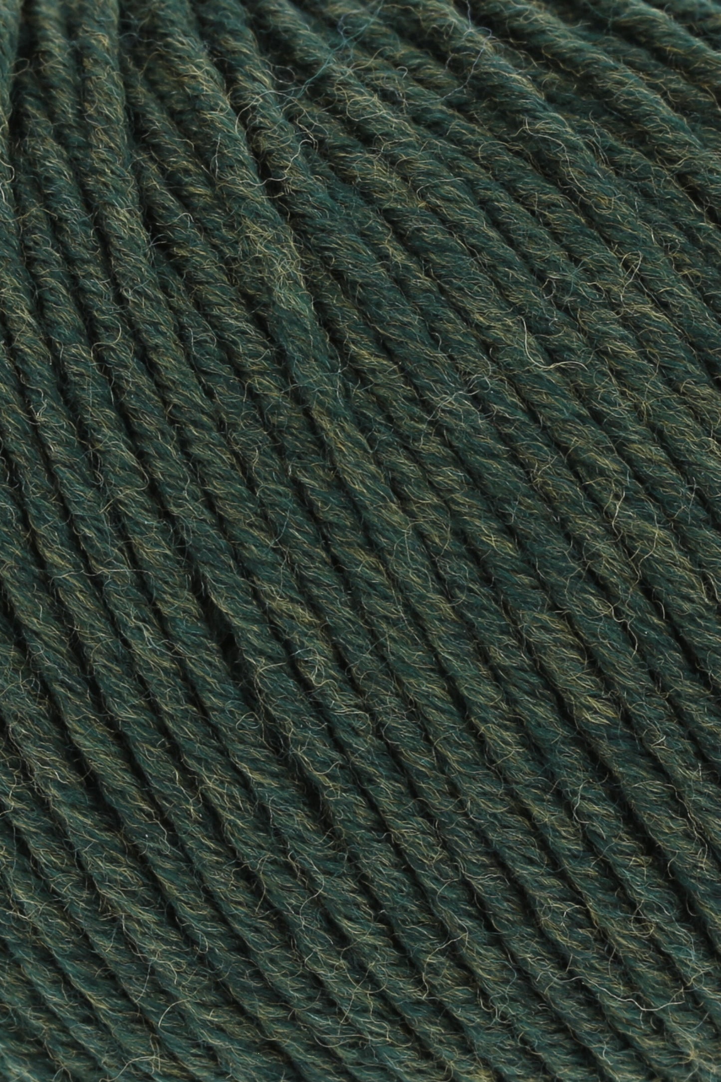 Merino 120