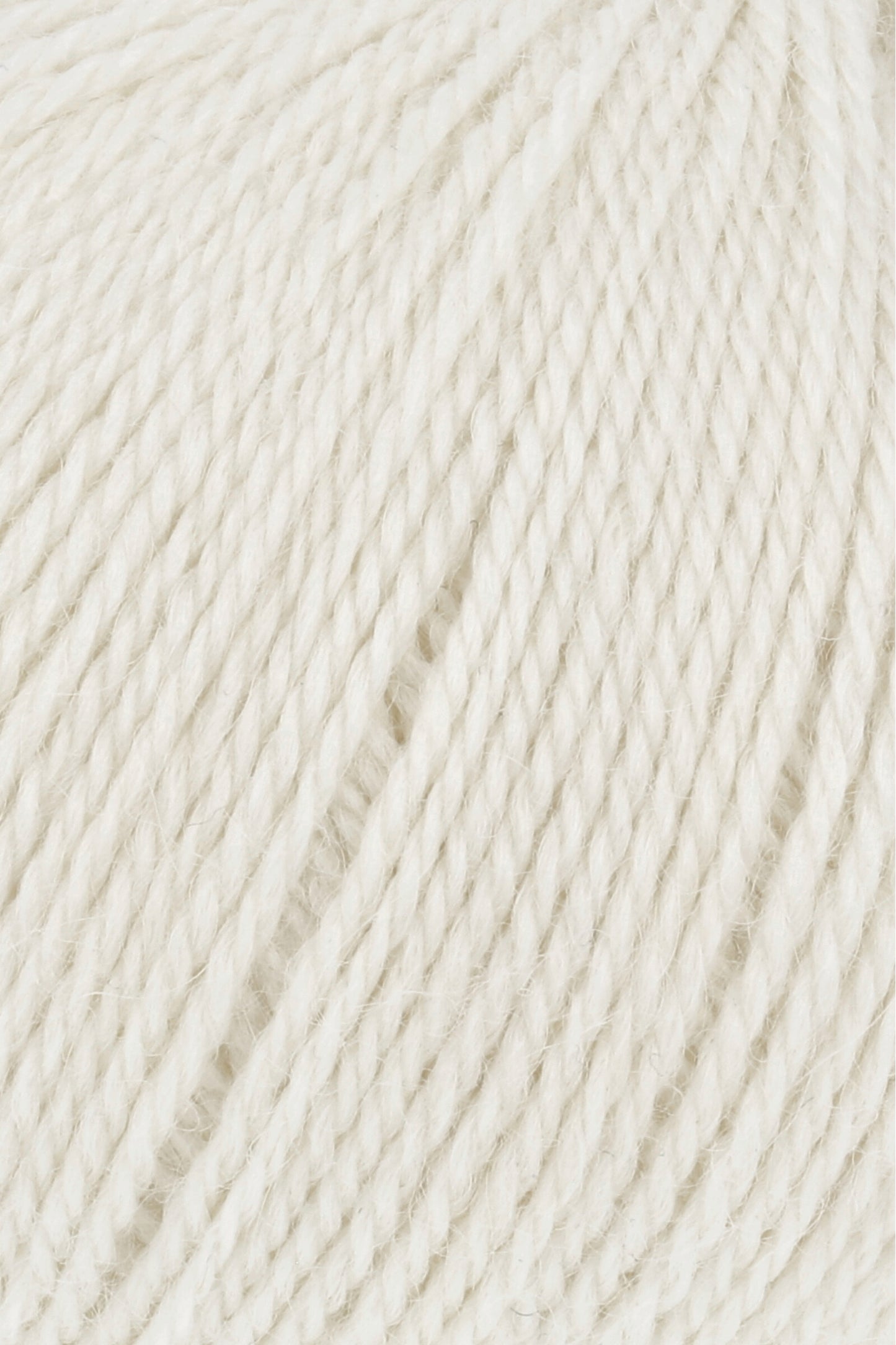 Baby Alpaca