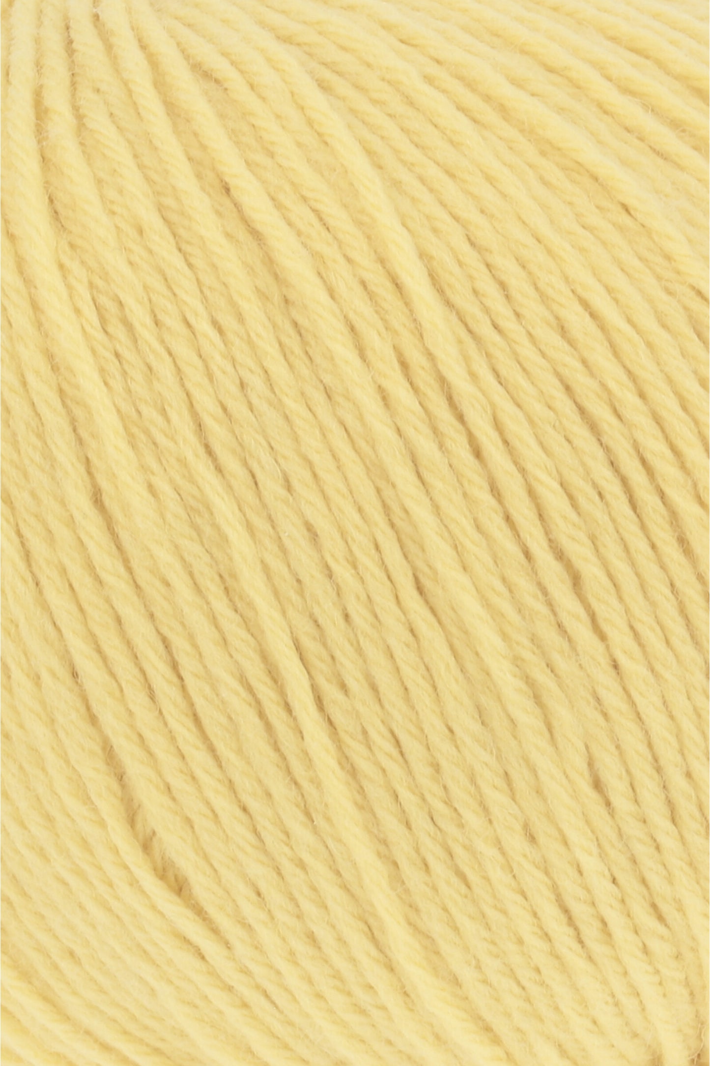 Merino 200