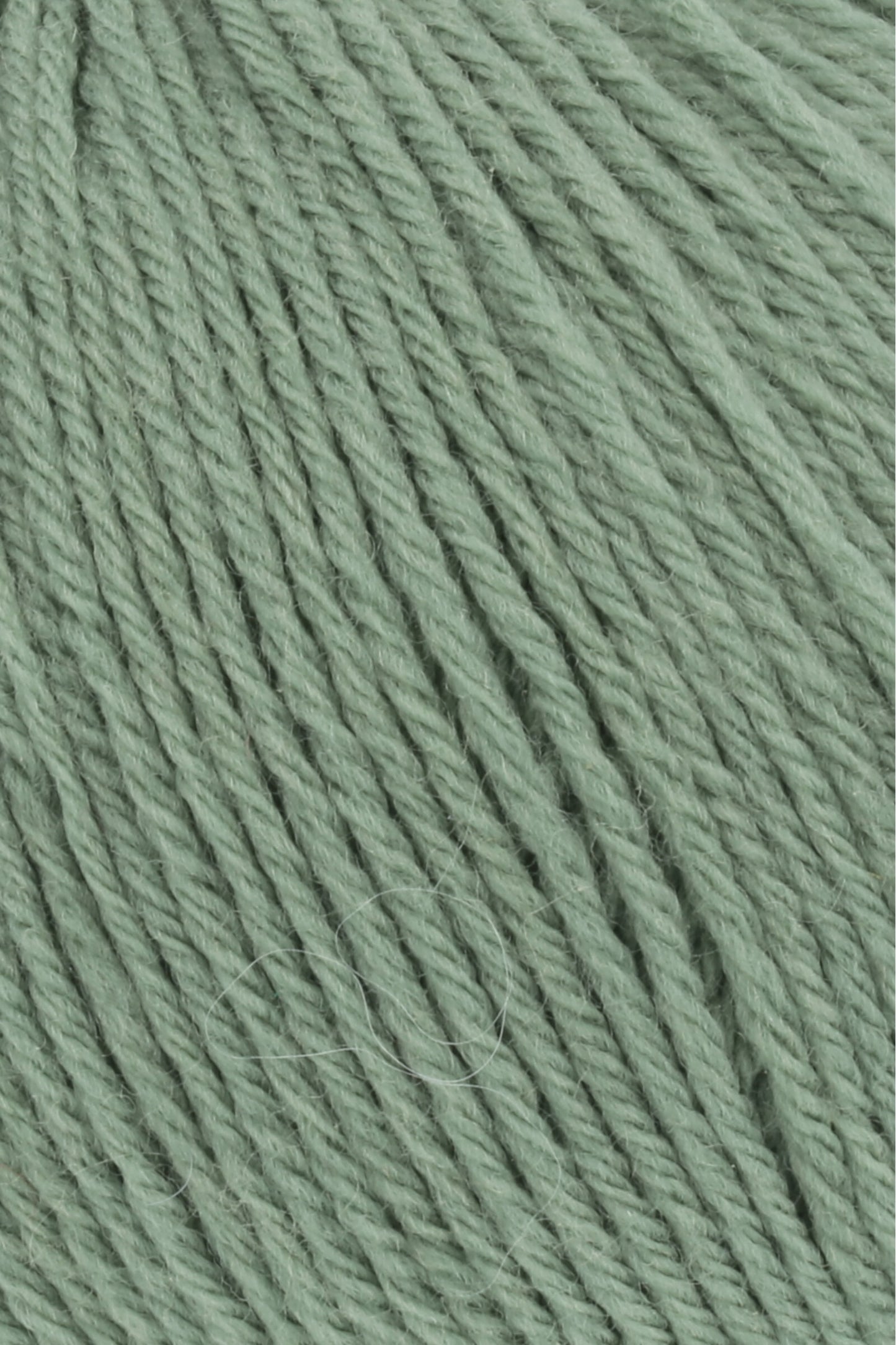 Merino 200