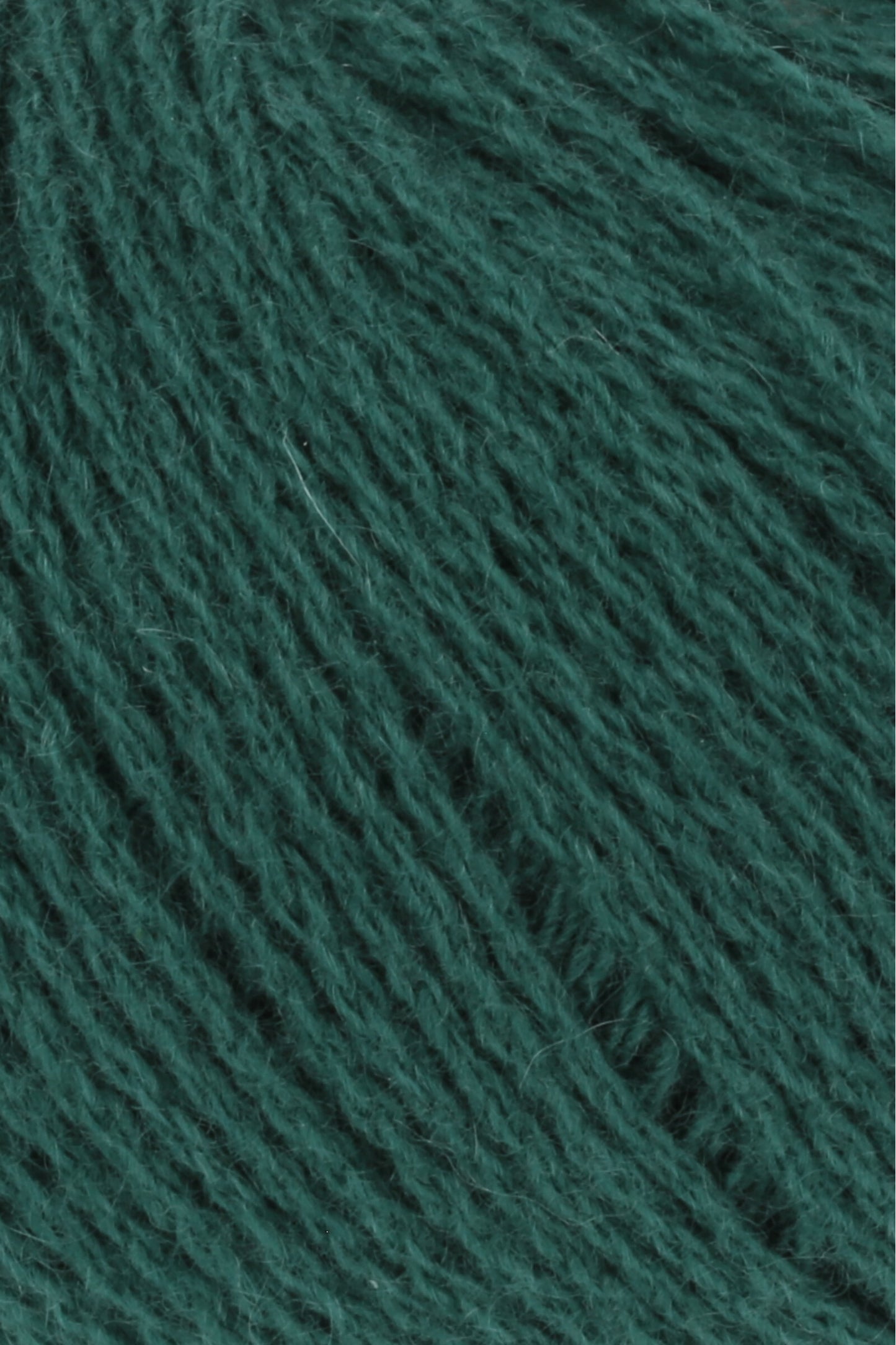 Cashmere Premium