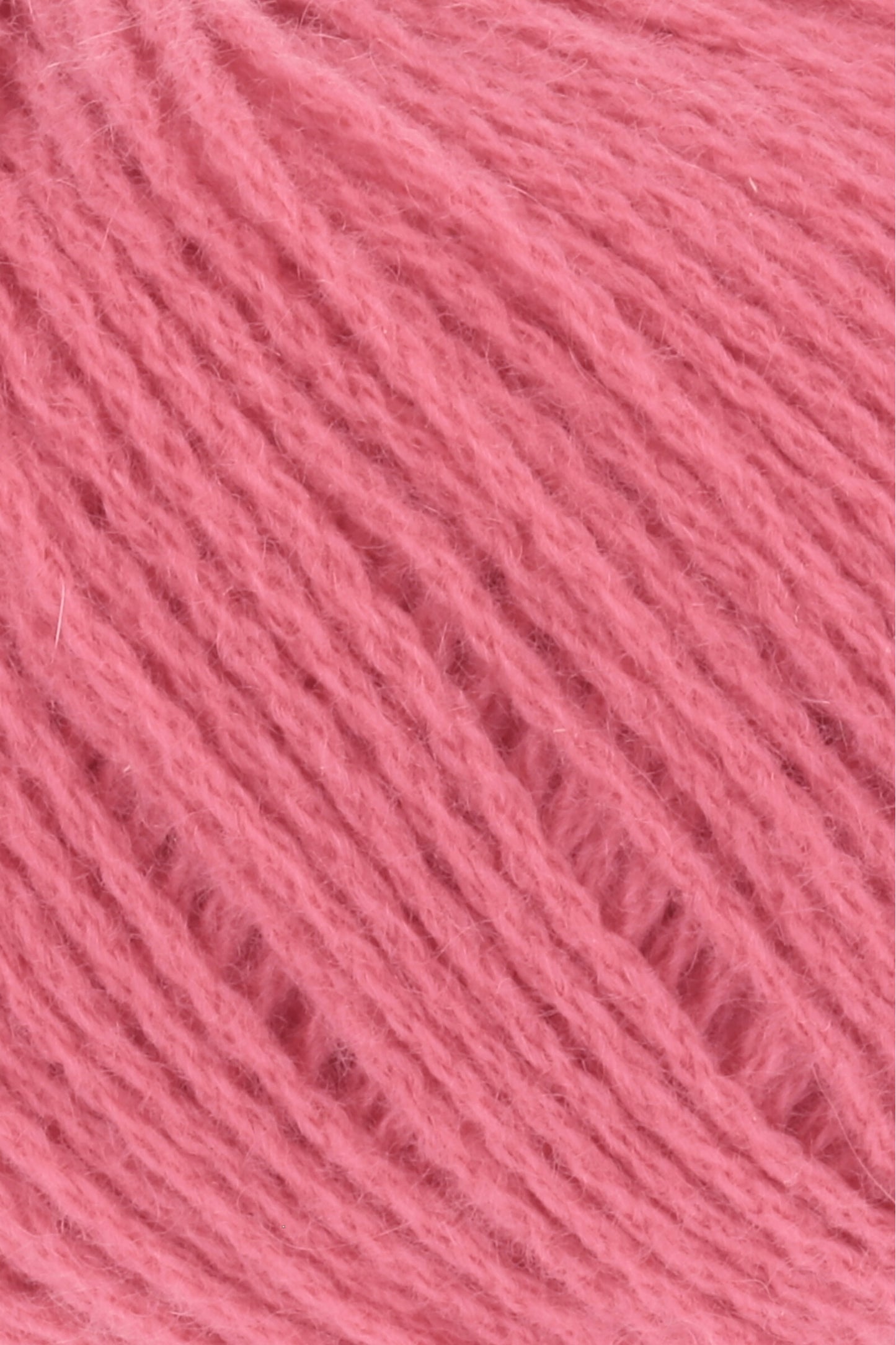 Cashmere Premium