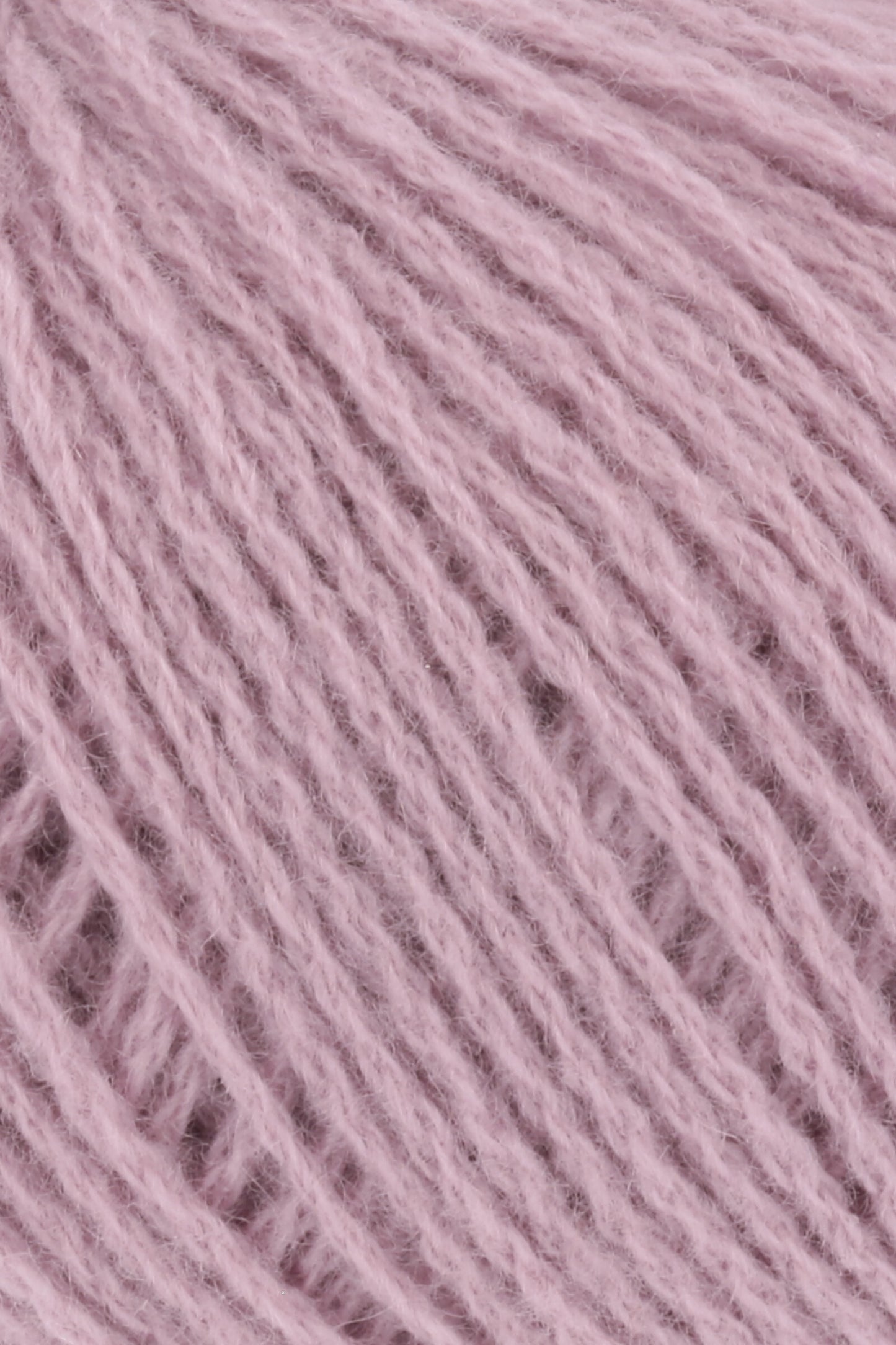 Cashmere Premium
