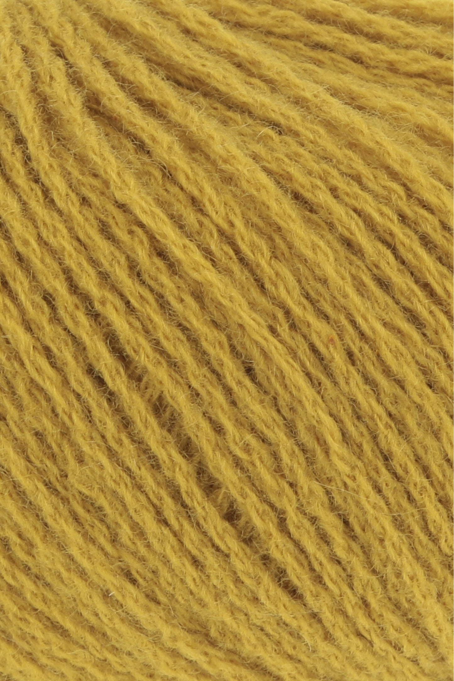 Cashmere Premium