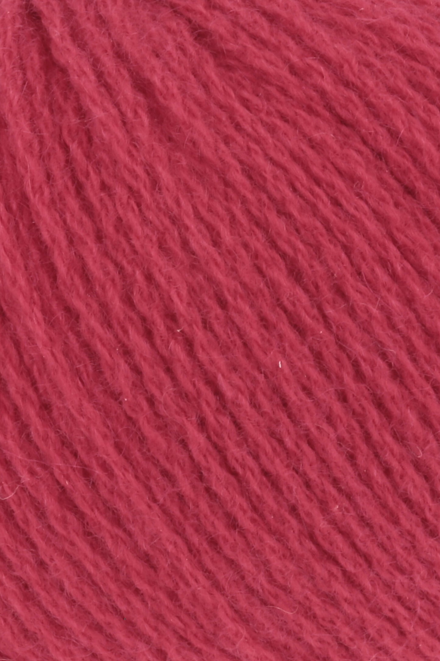 Cashmere Premium