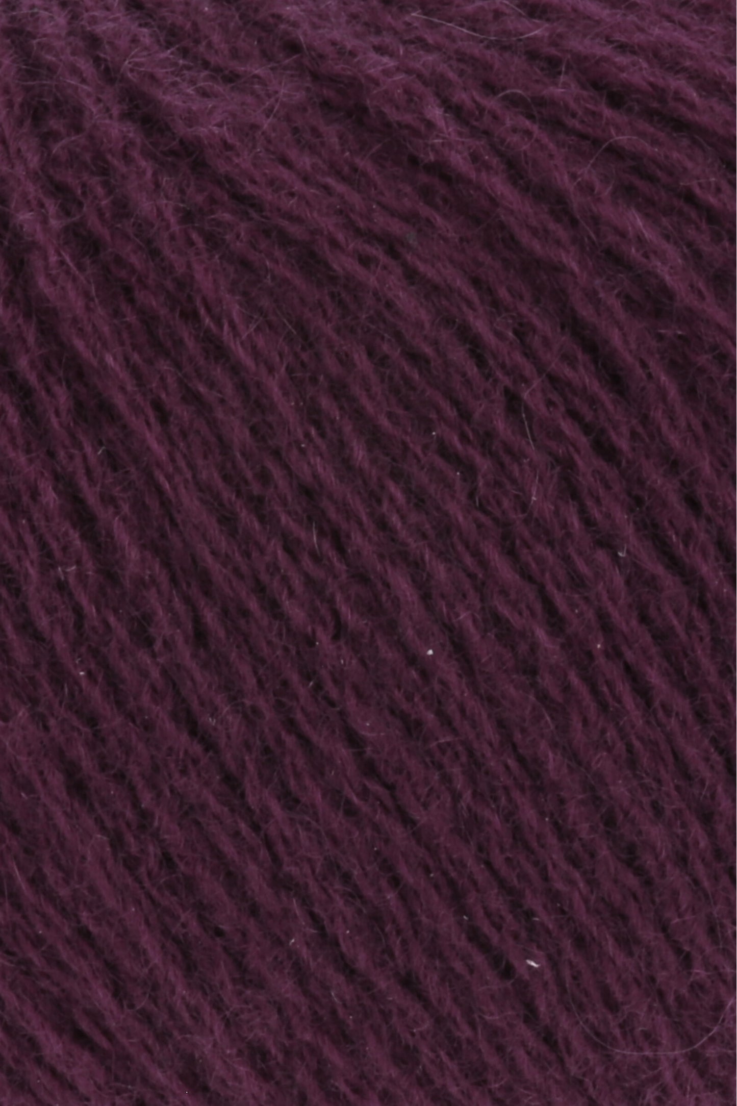 Cashmere Premium