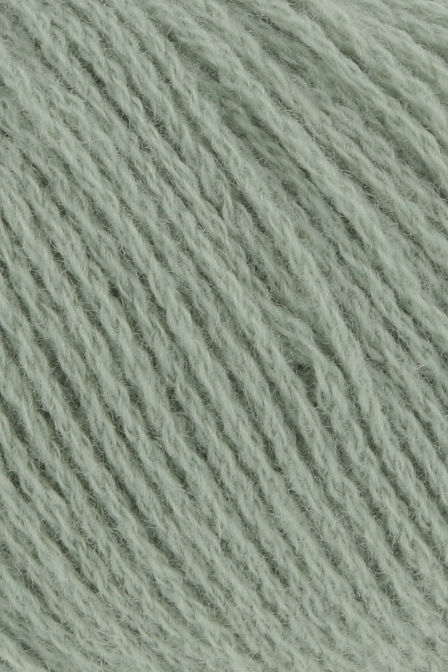 Cashmere Premium