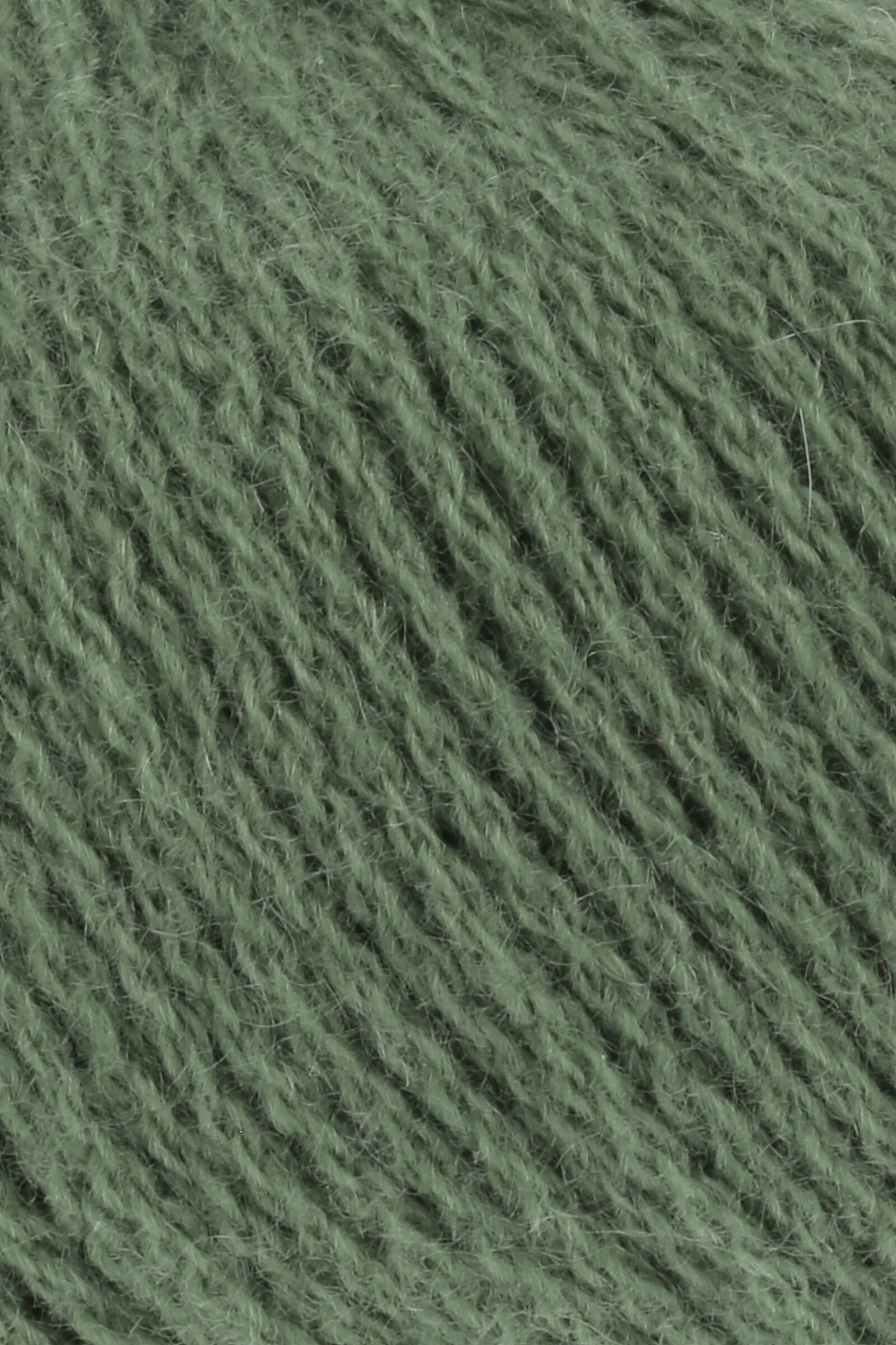 Cashmere Premium