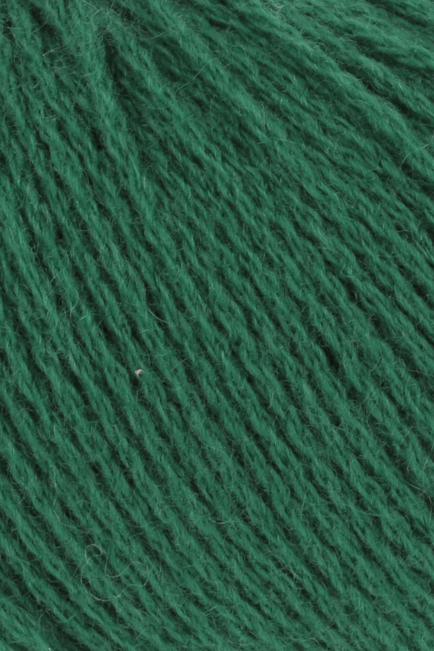Cashmere Premium