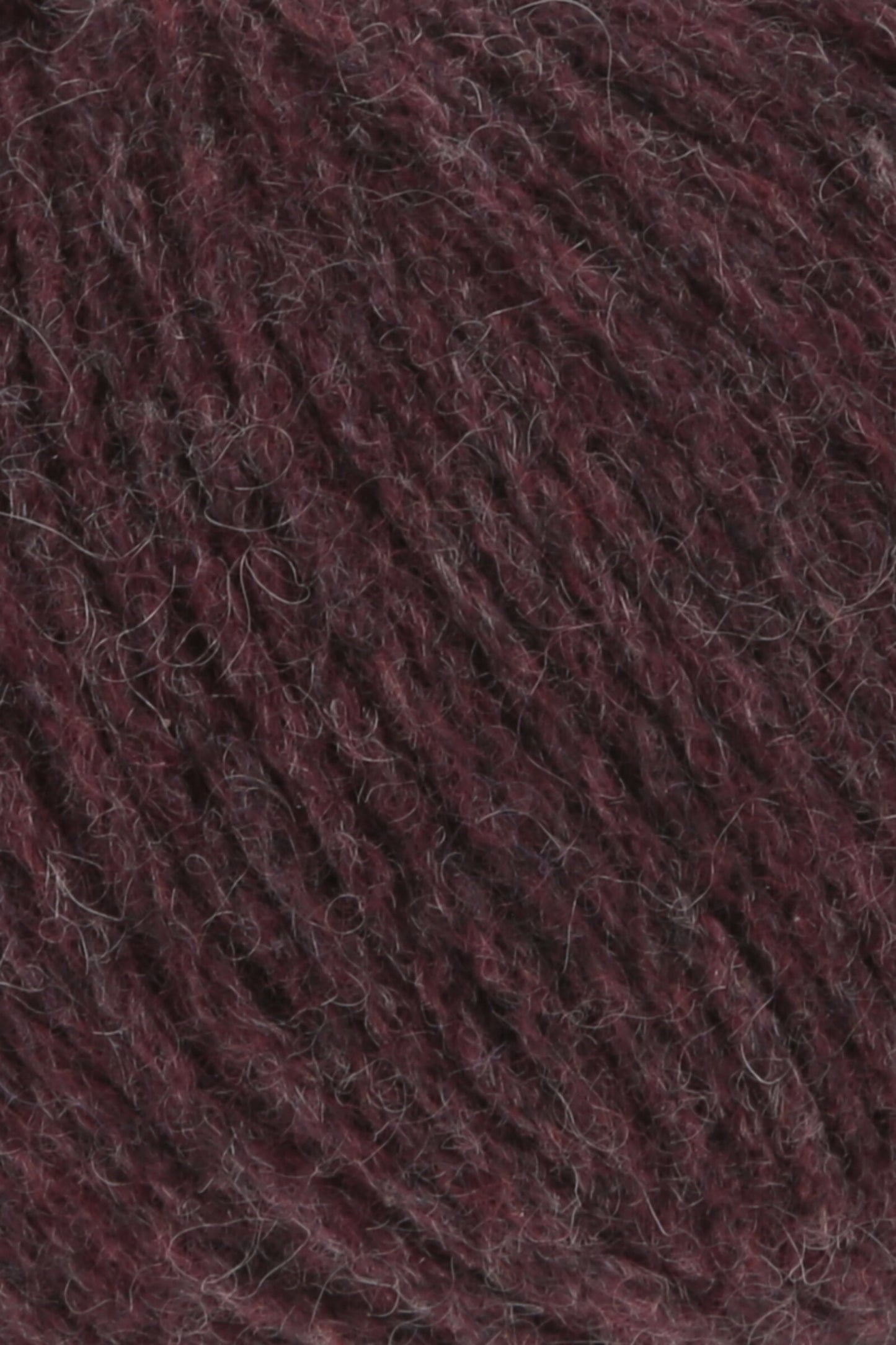 Cashmere Premium