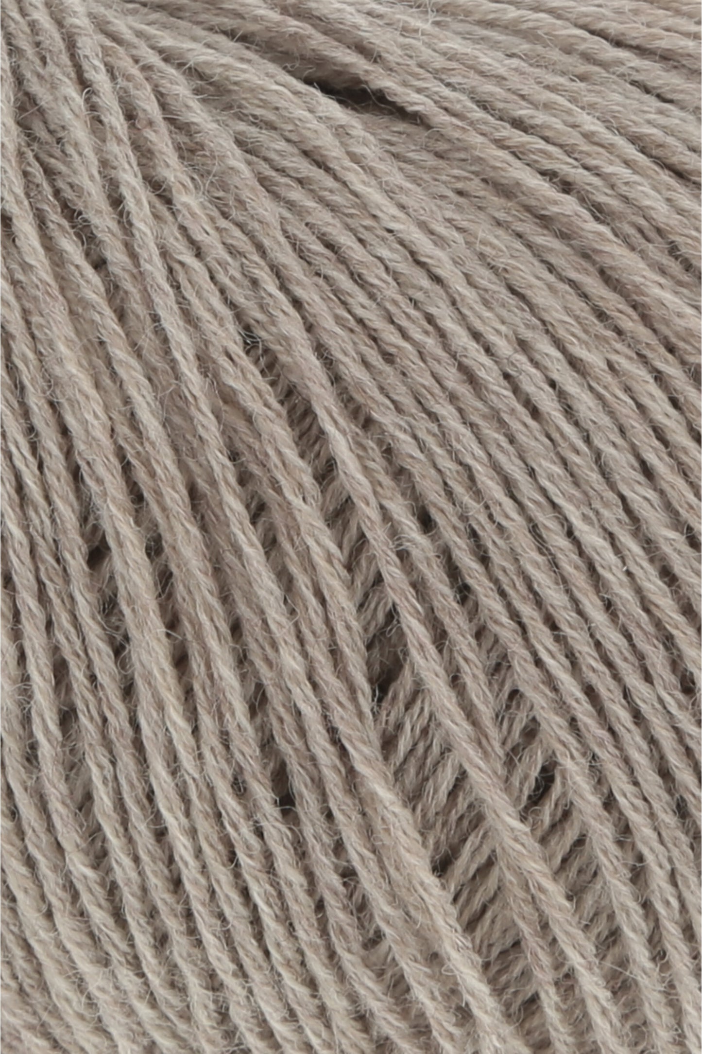 Merino 400