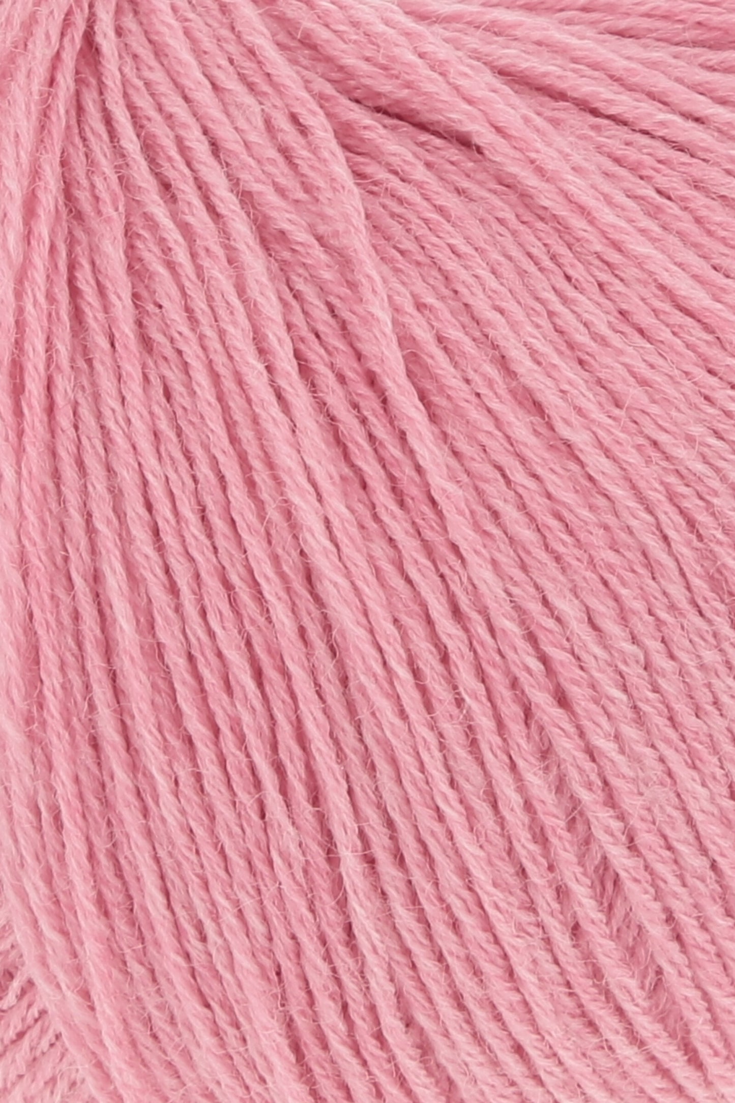 Merino 400
