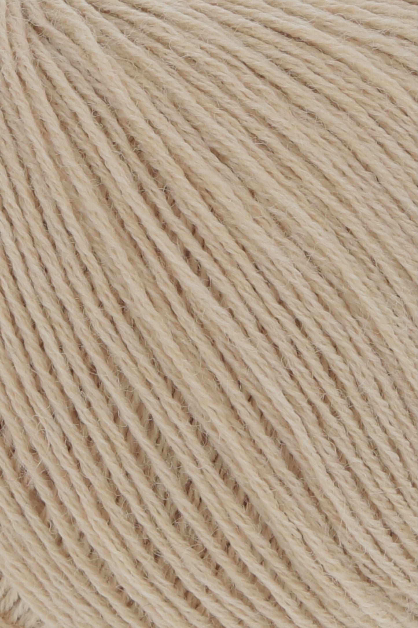 Merino 400