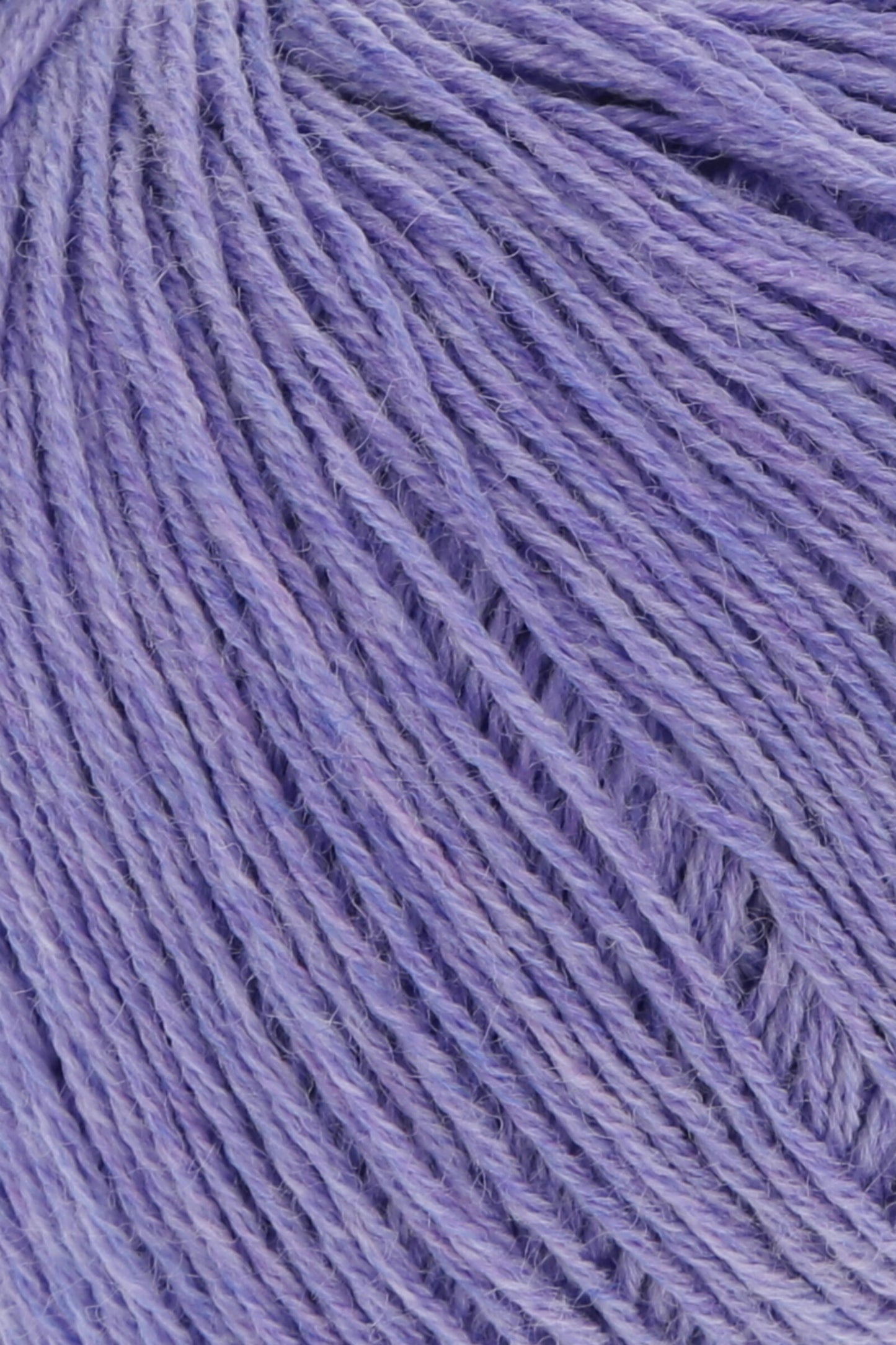 Merino 400