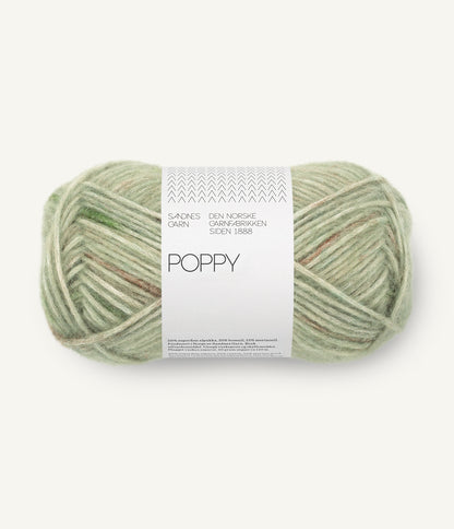 Poppy